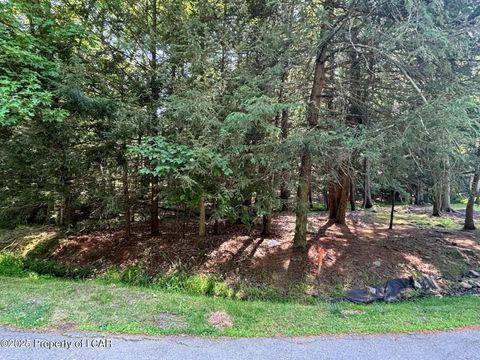 Vacant Land For Sale - Mink Springs Court<br/> Drums, PA 18222