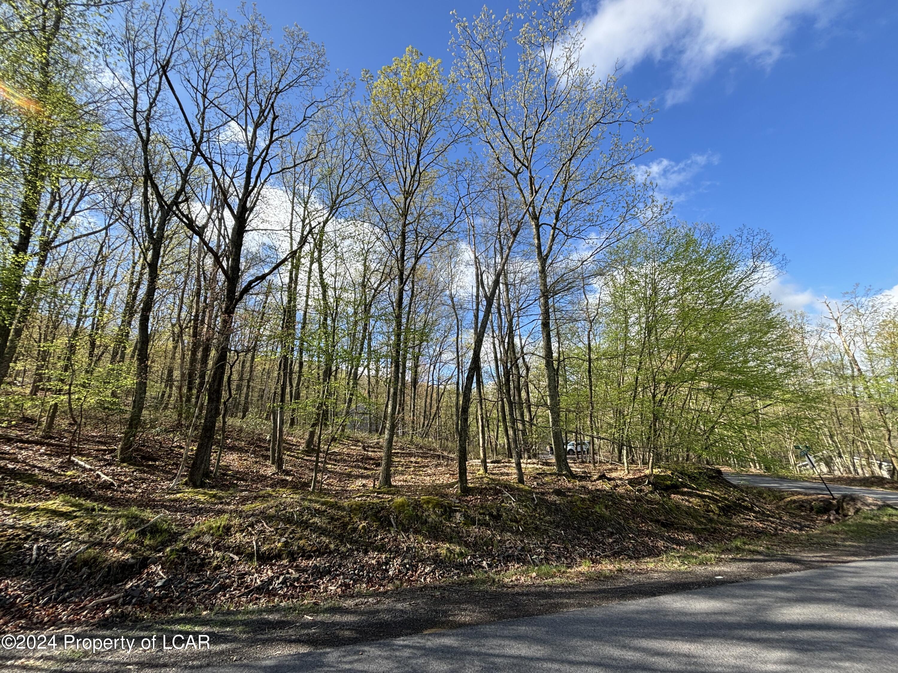 Snow Valley Drive, Drums, Pennsylvania image 4