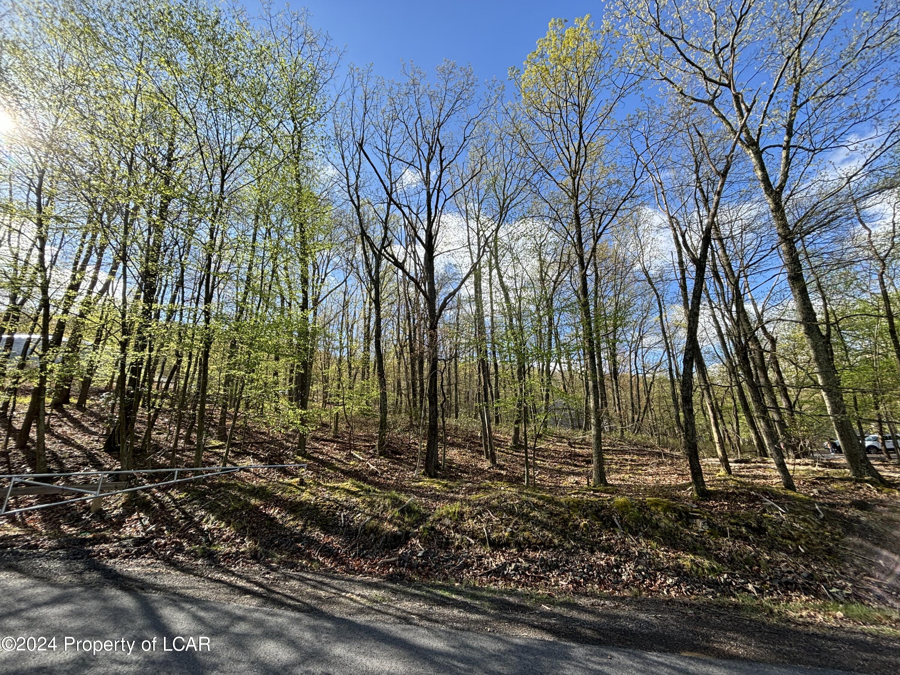 Snow Valley Drive, Drums, Pennsylvania image 2