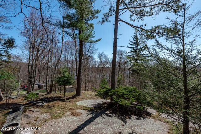 6 Spruce Street, Harveys Lake, Texas image 38