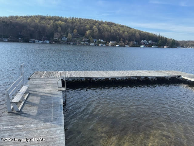 6 Spruce Street, Harveys Lake, Texas image 50