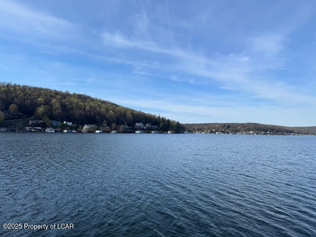 6 Spruce Street, Harveys Lake, Texas image 47
