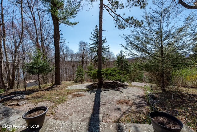 6 Spruce Street, Harveys Lake, Texas image 36
