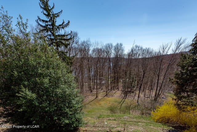 6 Spruce Street, Harveys Lake, Texas image 43