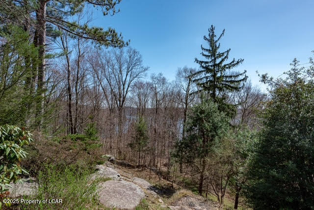6 Spruce Street, Harveys Lake, Texas image 40