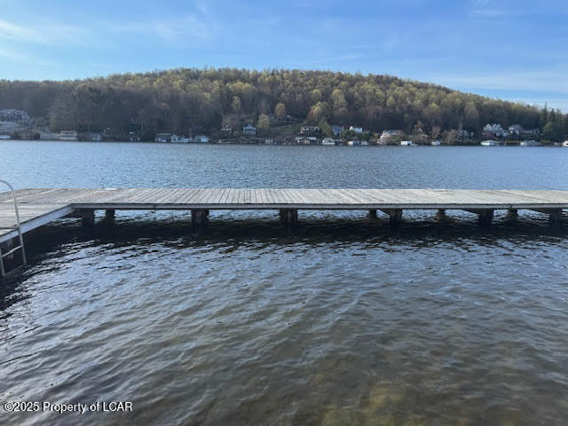 6 Spruce Street, Harveys Lake, Texas image 48