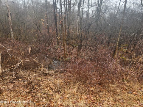 Vacant Land For Sale - Thunder Drive<br/> Luzerne County, White Haven, PA 18661