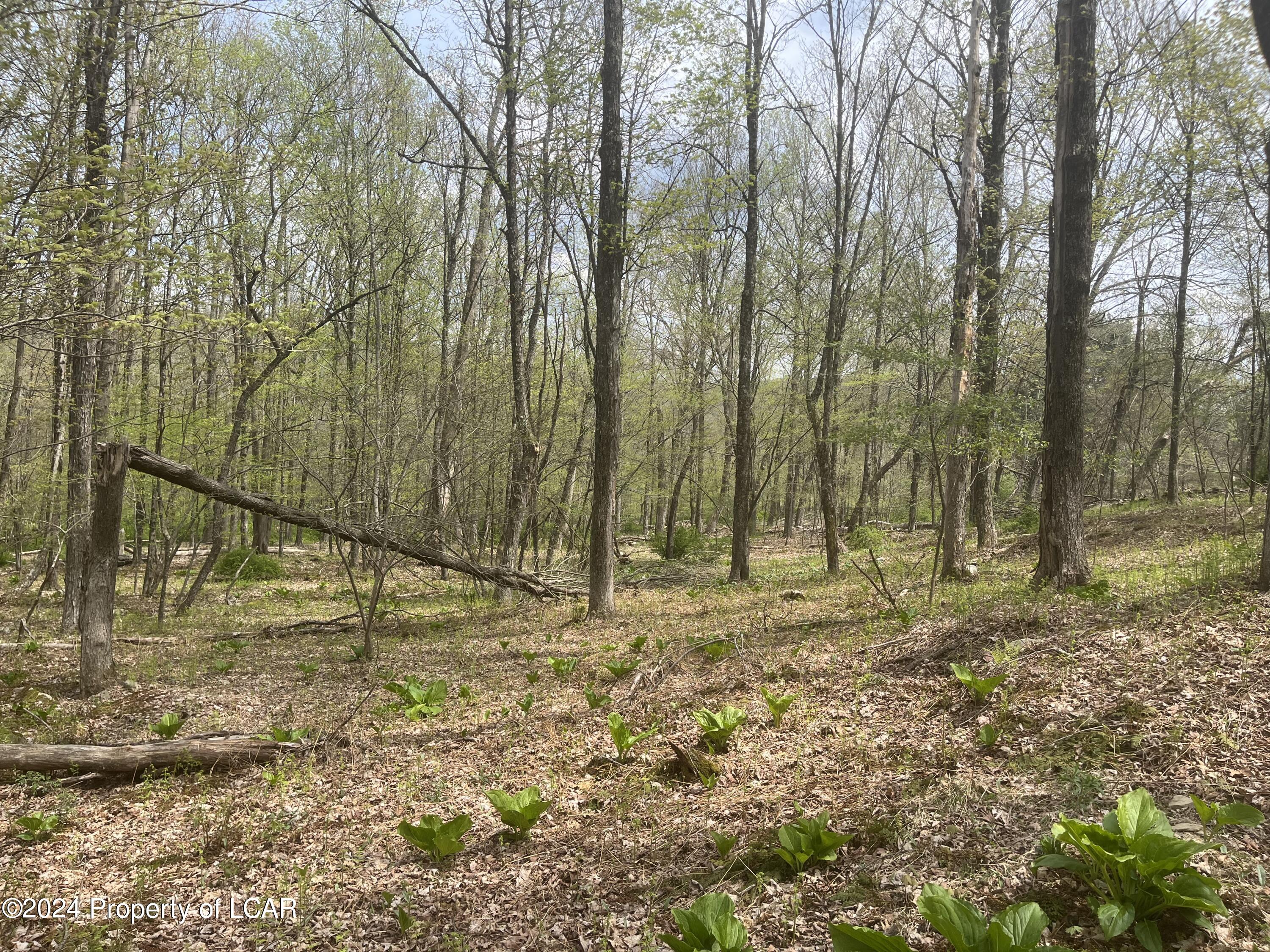 Reyburn Road, Shickshinny, Pennsylvania image 3