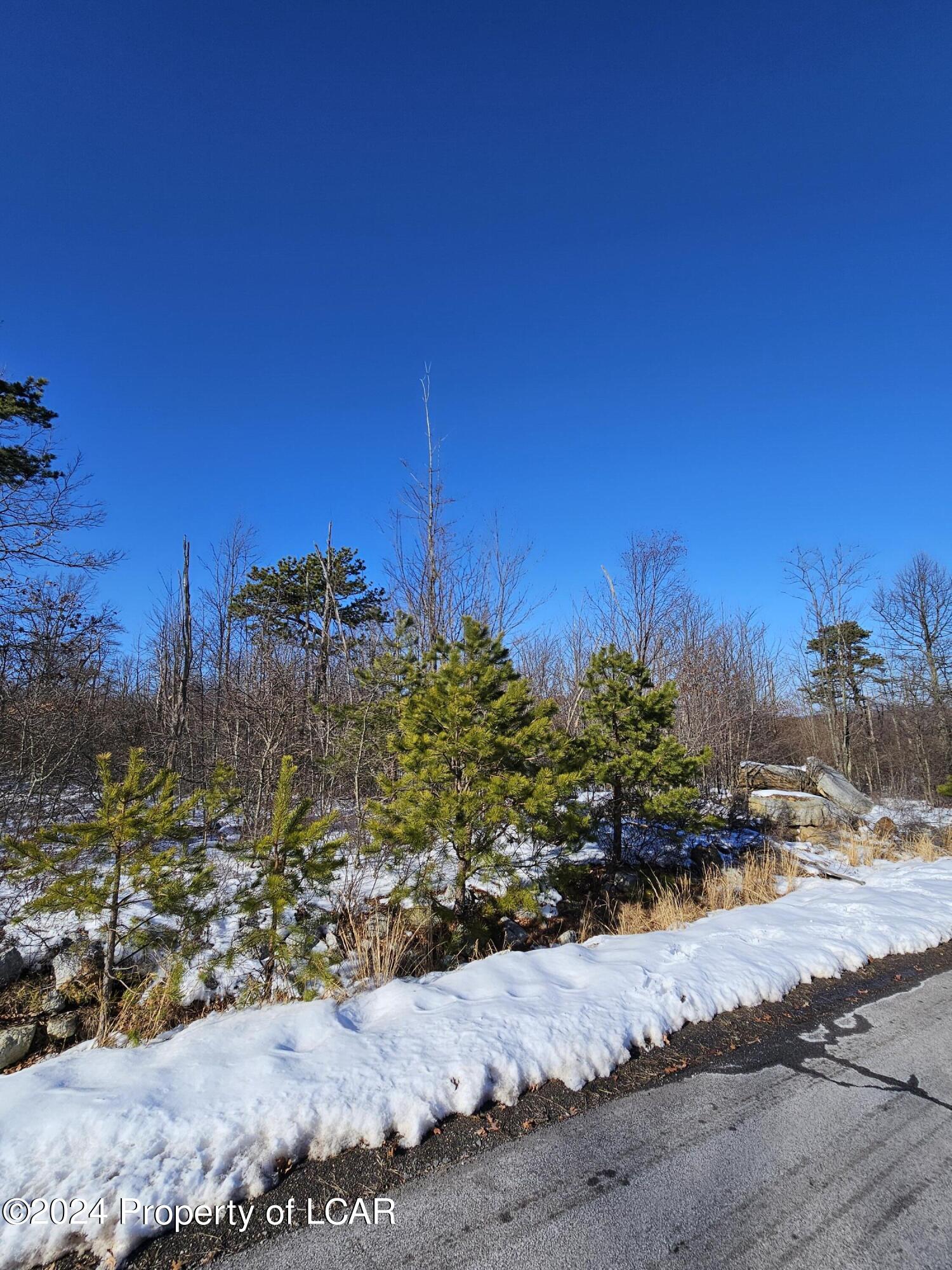 Buck Mountain Boulevard, Hazle Twp, Pennsylvania image 4