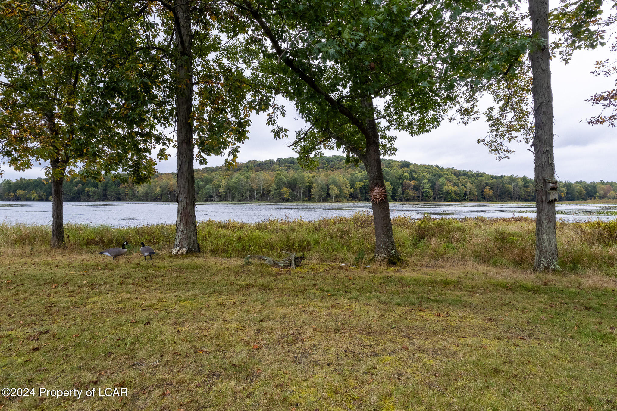 Laceyville, Pennsylvania 18623, United States, 3 Bedrooms Bedrooms, ,3 BathroomsBathrooms,Residential,Active,22182