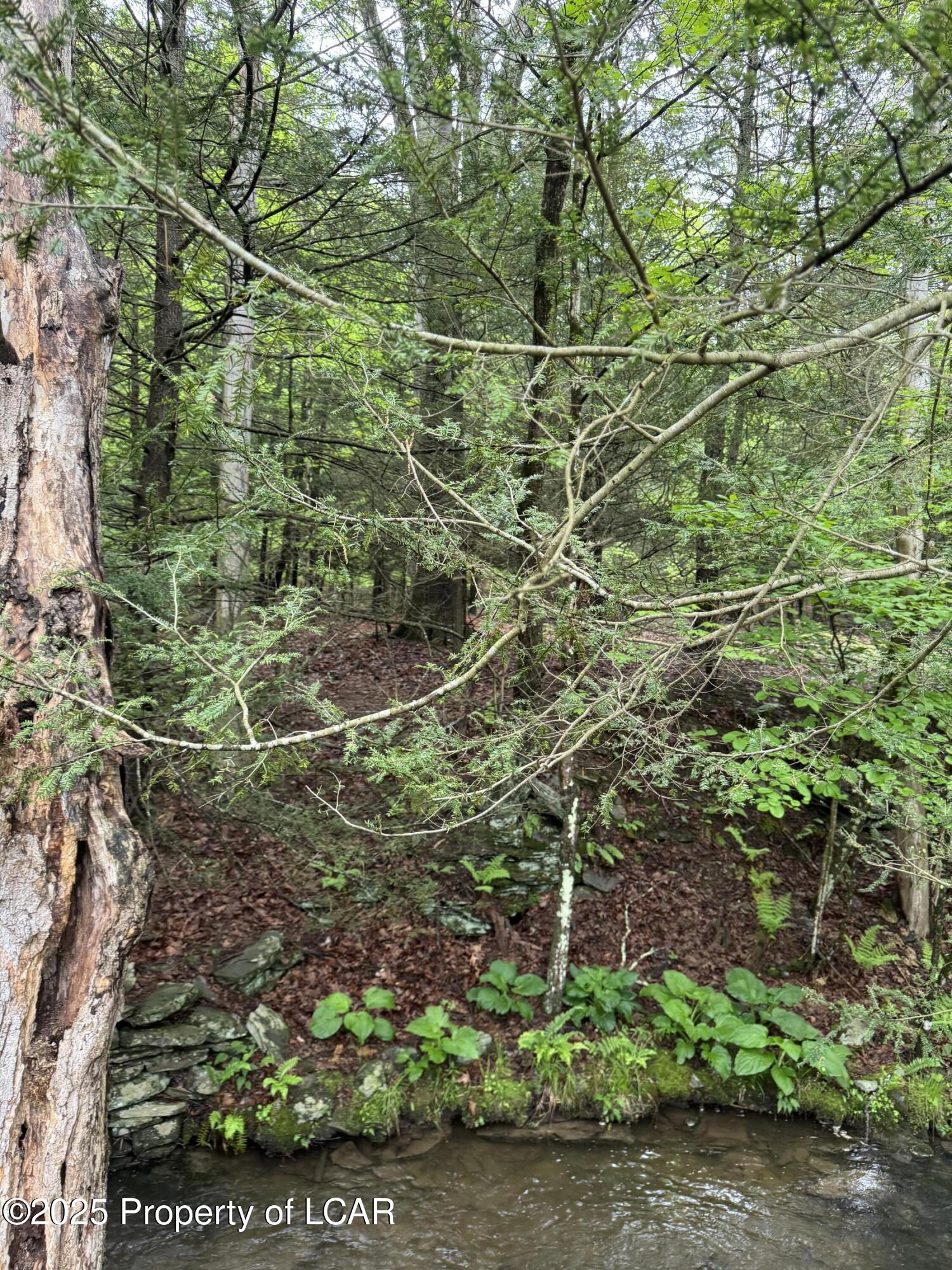 Vacant Land, Reyburn Road, Shickshinny, Pennsylvania image 5