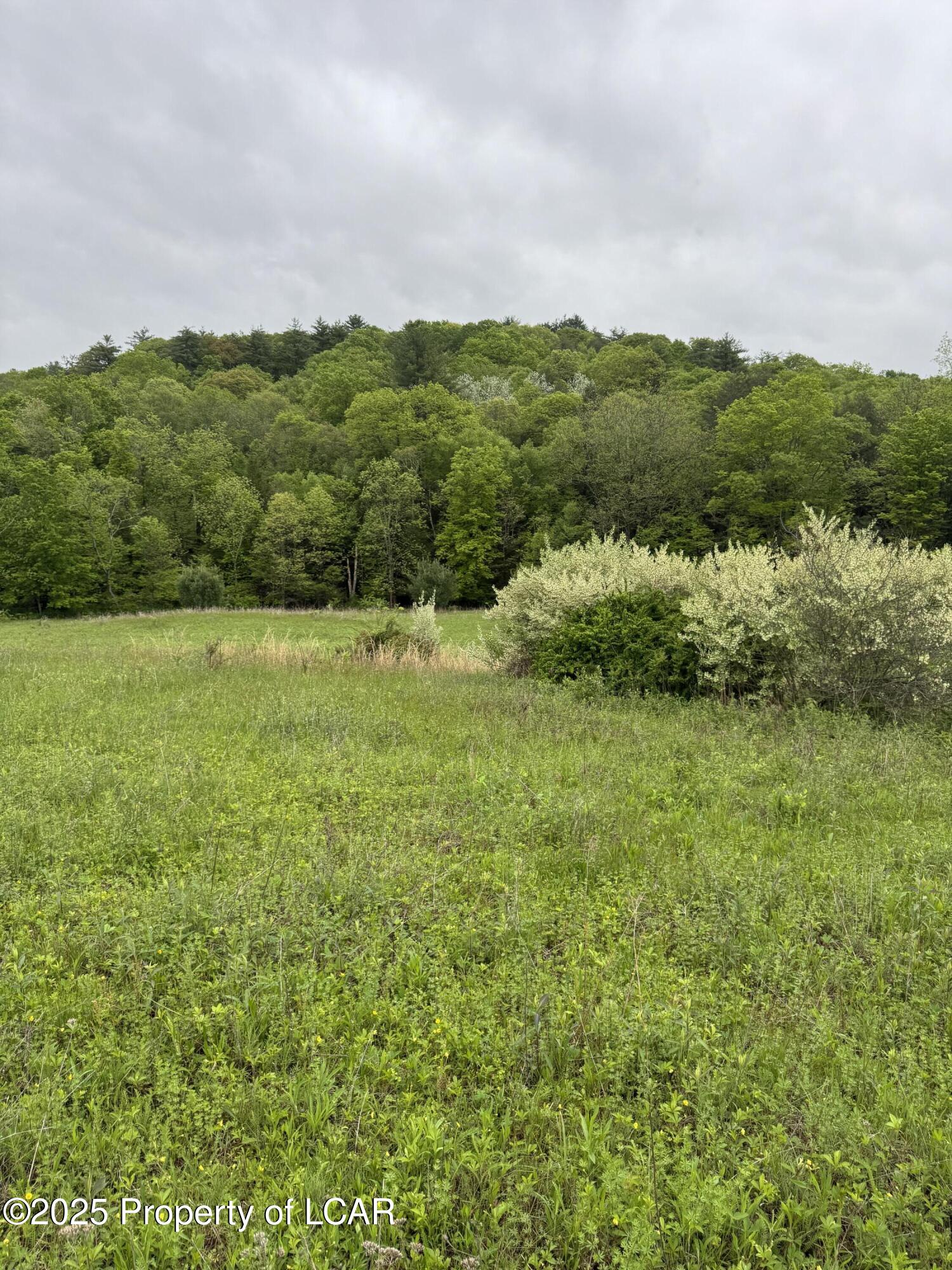 Vacant Land, Reyburn Road, Shickshinny, Pennsylvania image 8
