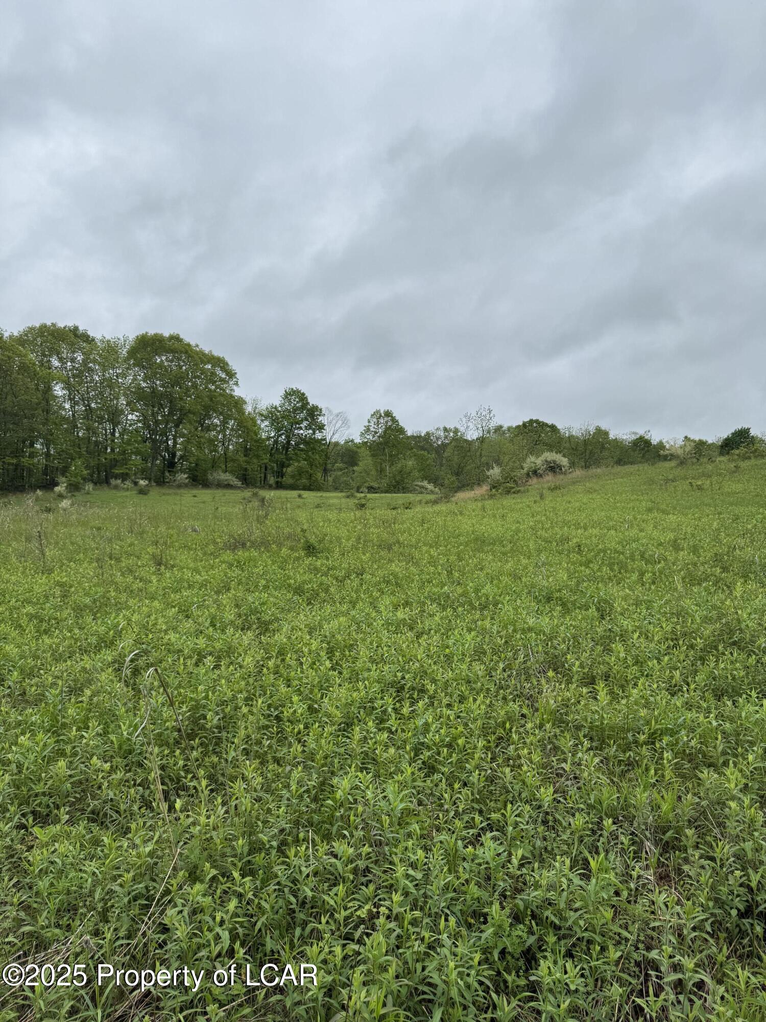 Vacant Land, Reyburn Road, Shickshinny, Pennsylvania image 11