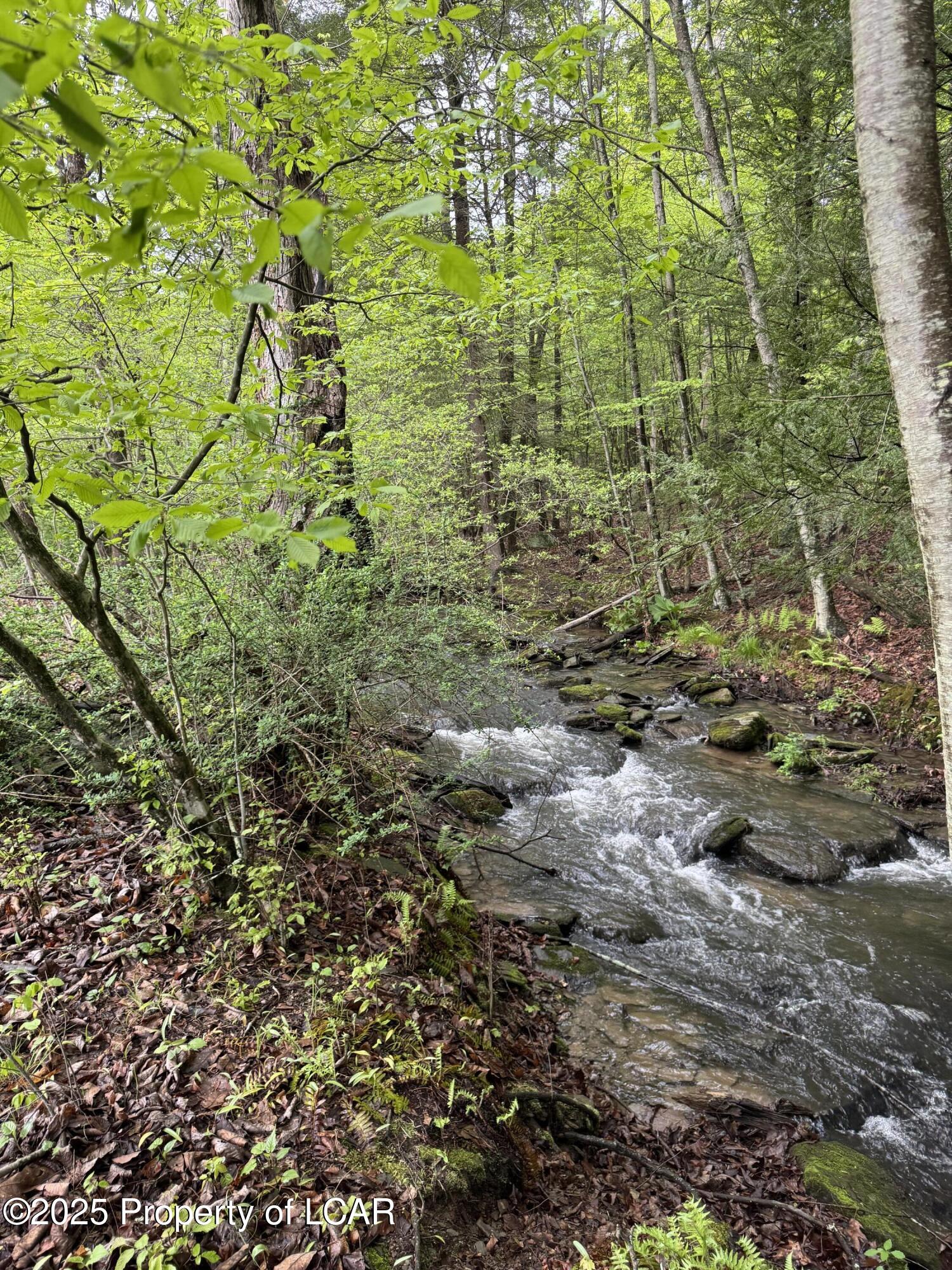 Vacant Land, Reyburn Road, Shickshinny, Pennsylvania image 1