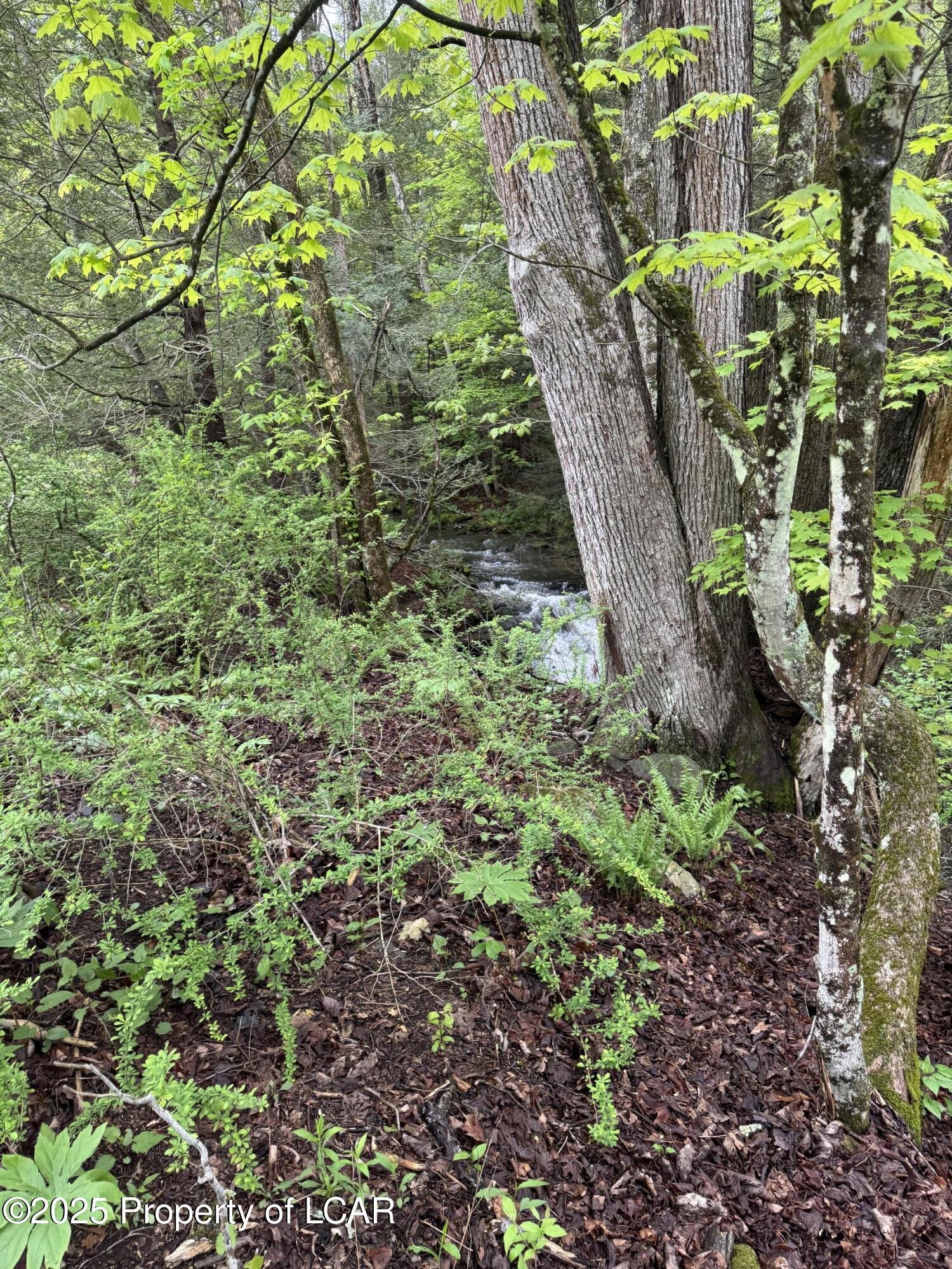 Vacant Land, Reyburn Road, Shickshinny, Pennsylvania image 4