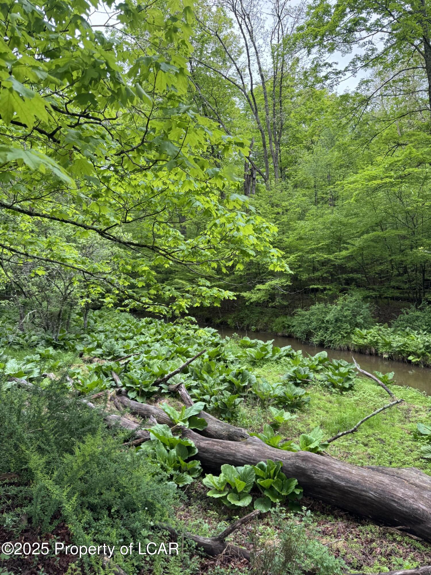 Vacant Land, Reyburn Road, Shickshinny, Pennsylvania image 9