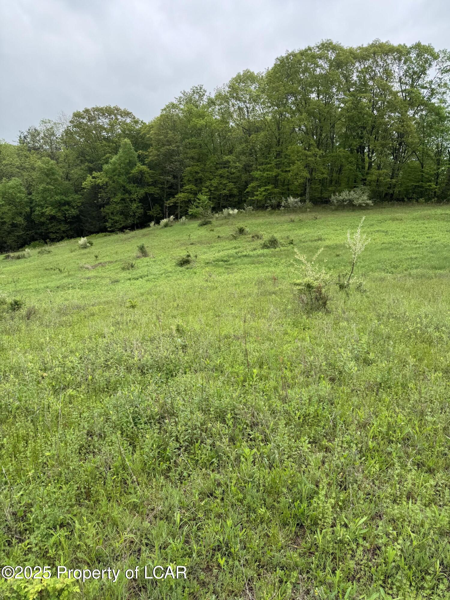 Vacant Land, Reyburn Road, Shickshinny, Pennsylvania image 7