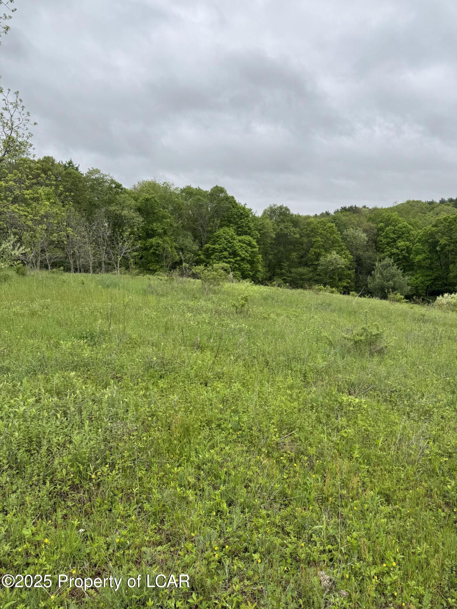 Vacant Land, Reyburn Road, Shickshinny, Pennsylvania image 6