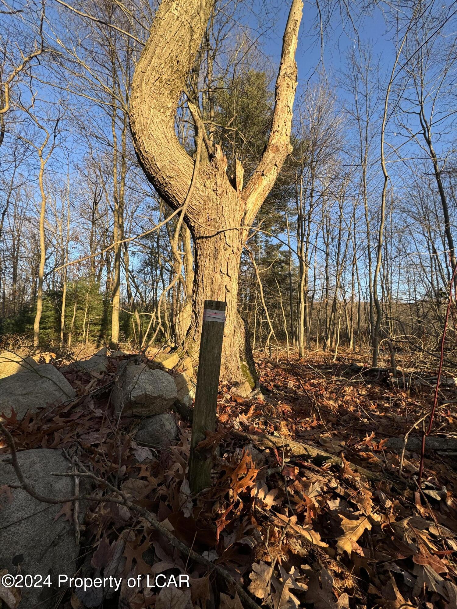 Old Airport Road, Drums, Pennsylvania image 8