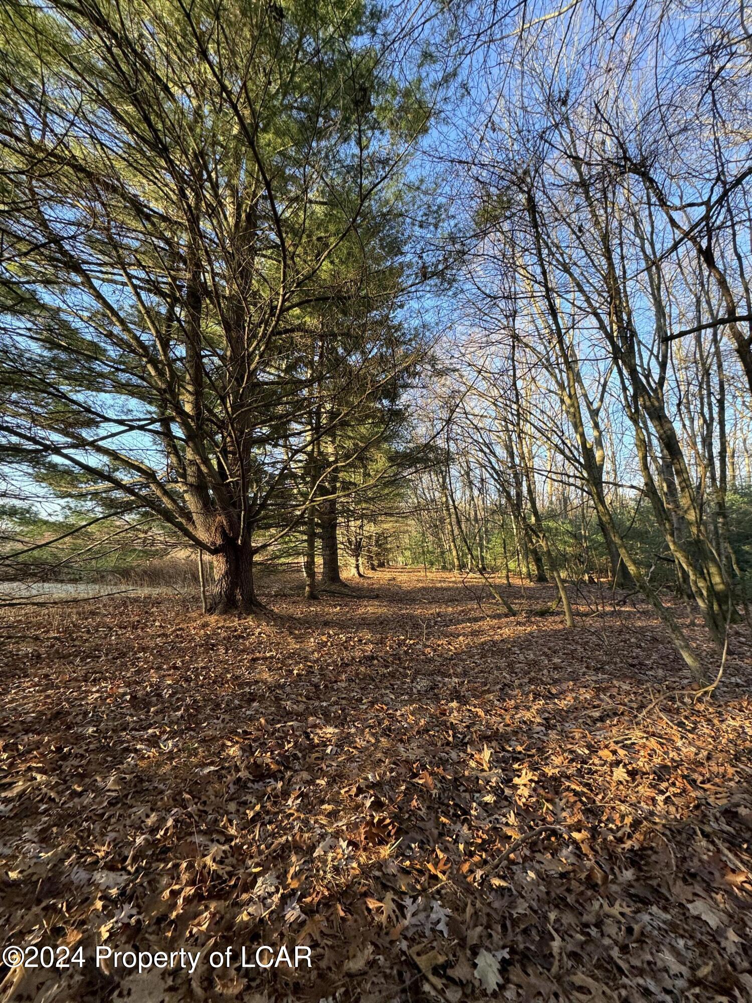 Old Airport Road, Drums, Pennsylvania image 4