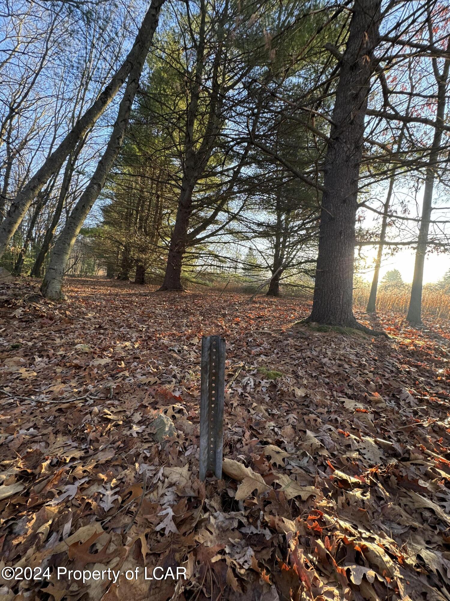 Old Airport Road, Drums, Pennsylvania image 10