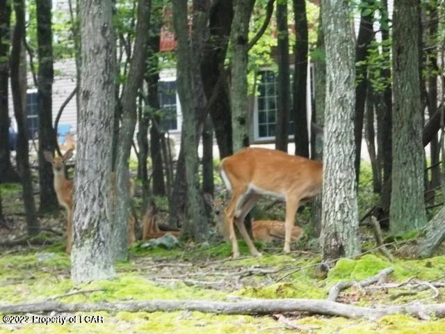 Kenoza Drive Dr #54, North Union Twp., Pennsylvania image 16