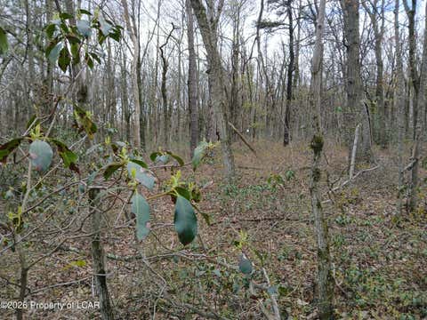 Vacant Land For Sale - Harleigh Terrace Road<br/> Luzerne County, Harleigh, PA 18202