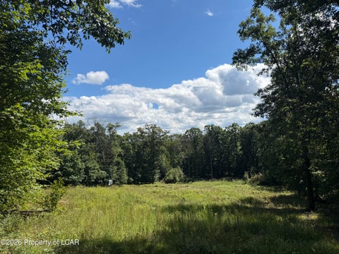 Vacant Land For Sale - Conyngham Crest Drive<br/> Sugarloaf, PA 18249