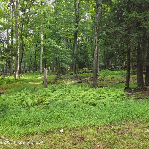 Vacant Land For Sale - Blackfoot Drive<br/> Schuylkill County, North Union Twp., PA 17985