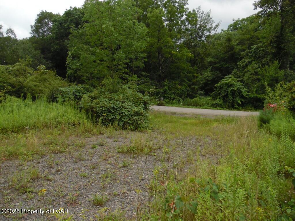 15 Morio Drive, Mountain Top, Pennsylvania image 8