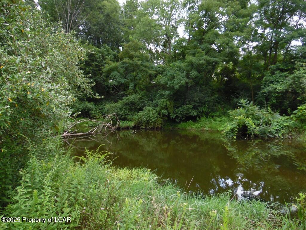 15 Morio Drive, Mountain Top, Pennsylvania image 5