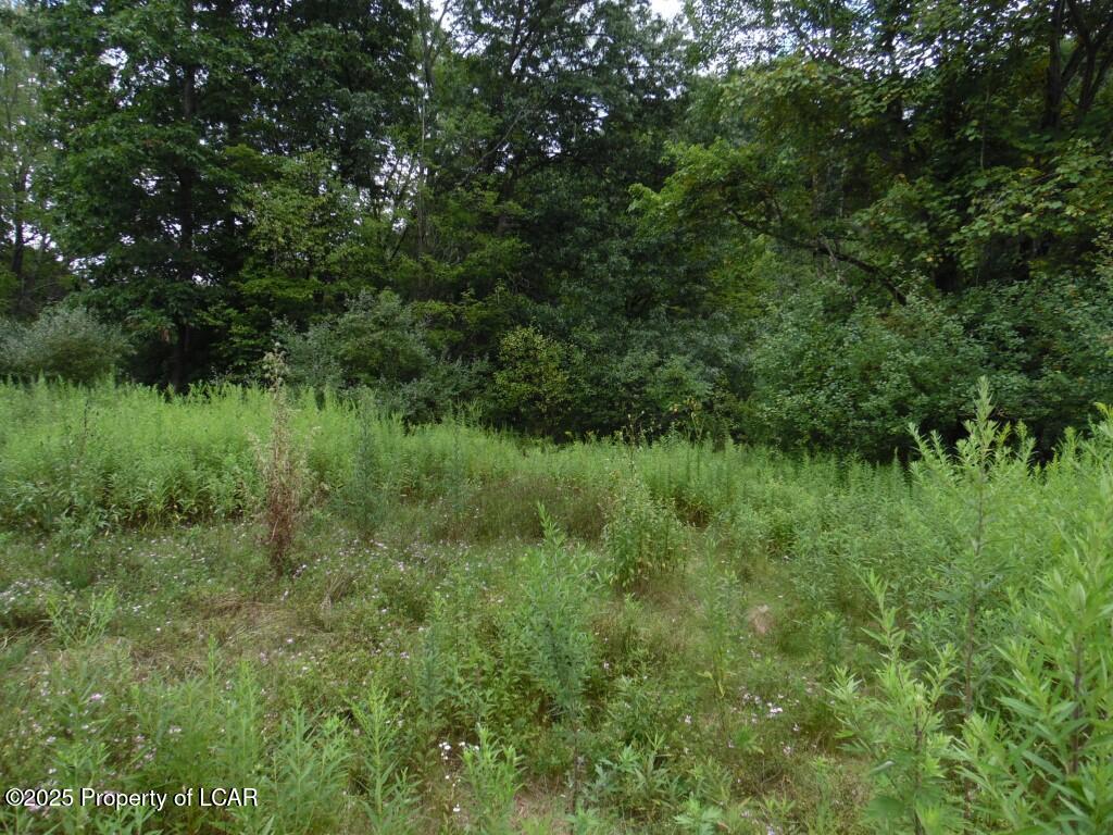 15 Morio Drive, Mountain Top, Pennsylvania image 7