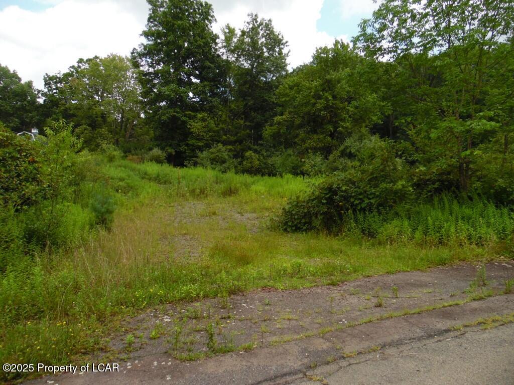 15 Morio Drive, Mountain Top, Pennsylvania image 4