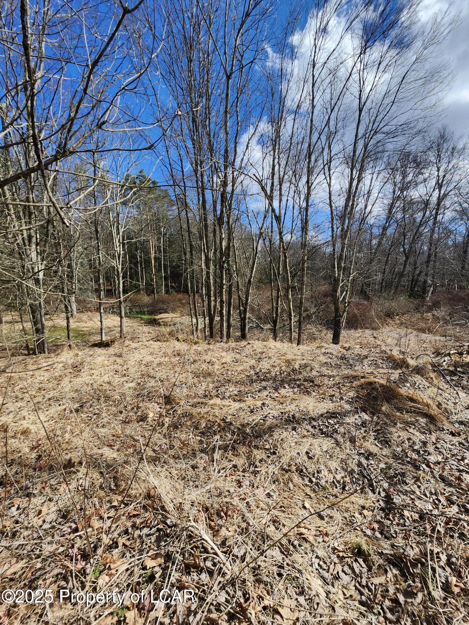 Machell Avenue, Dallas, Pennsylvania image 2