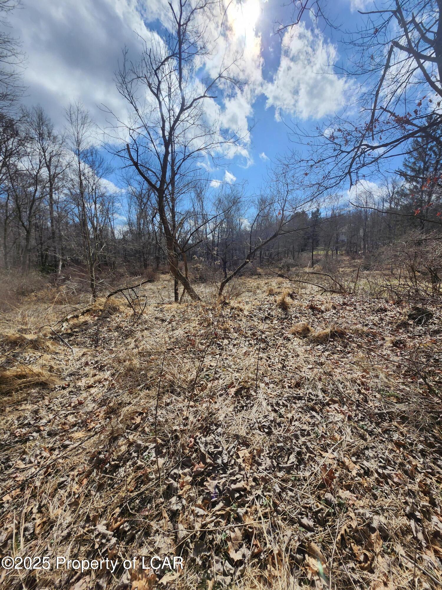 Machell Avenue, Dallas, Pennsylvania image 3