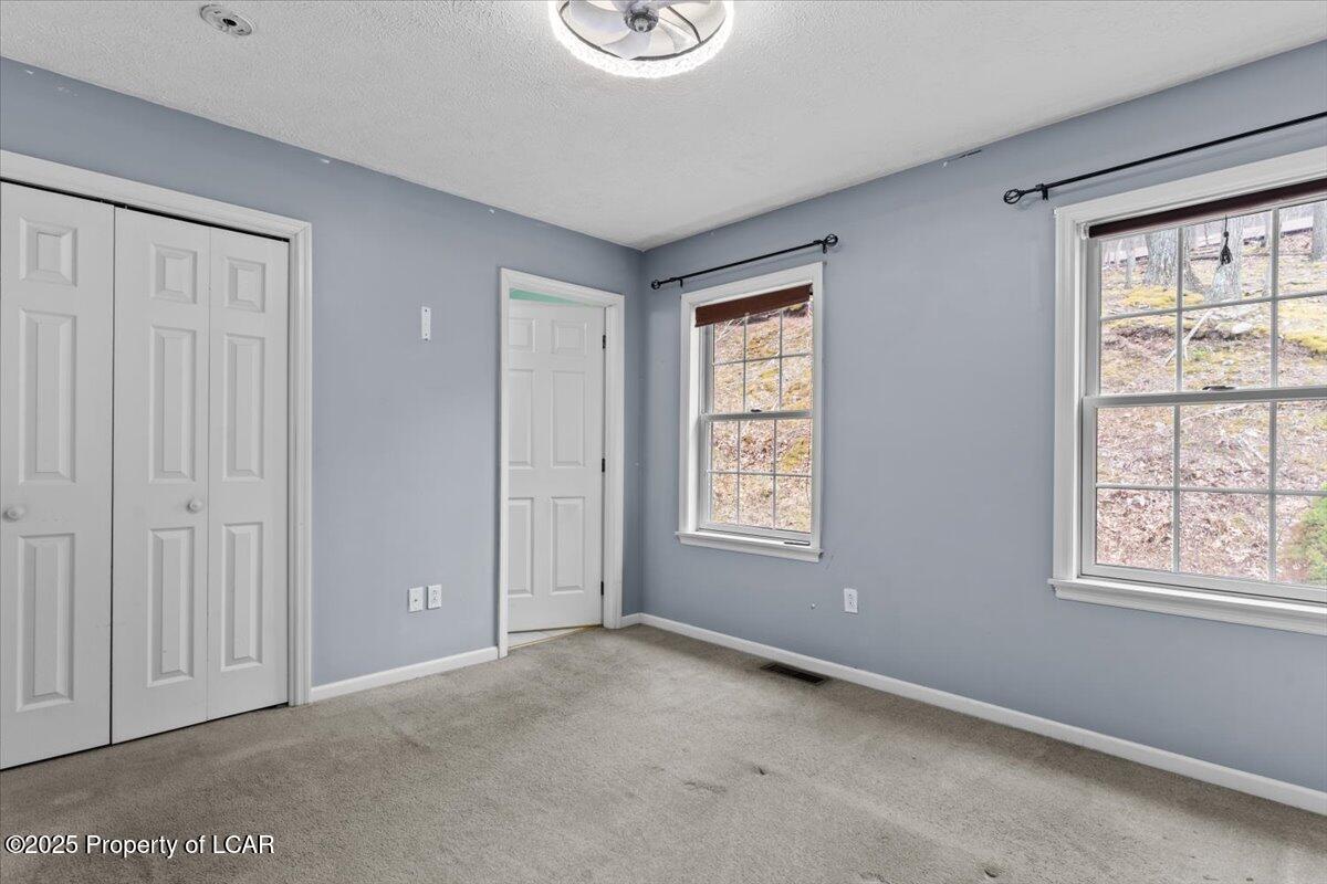 277 Snow Valley Drive, Drums, Texas image 4