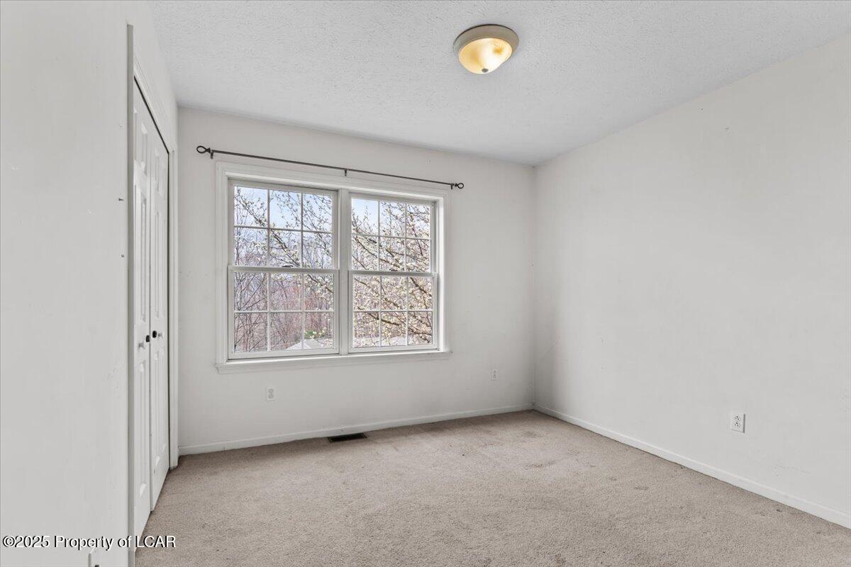 277 Snow Valley Drive, Drums, Texas image 16