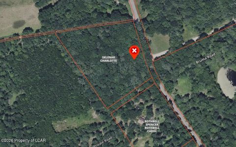 Vacant Land For Sale - Red Hill Road<br/> Benton, PA 17814