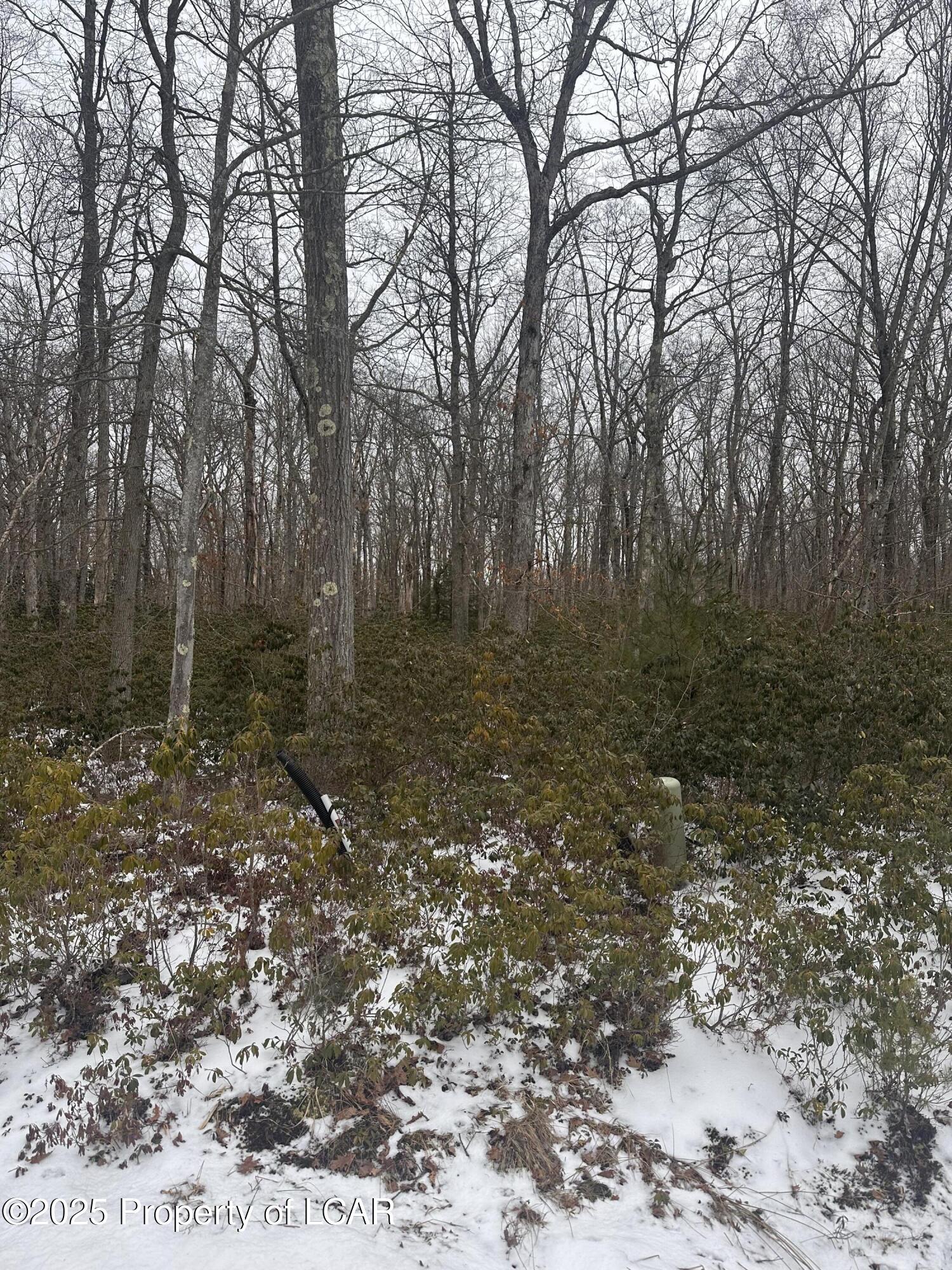 Bear Creek, Pennsylvania 18702, United States, ,Land,Active,6658