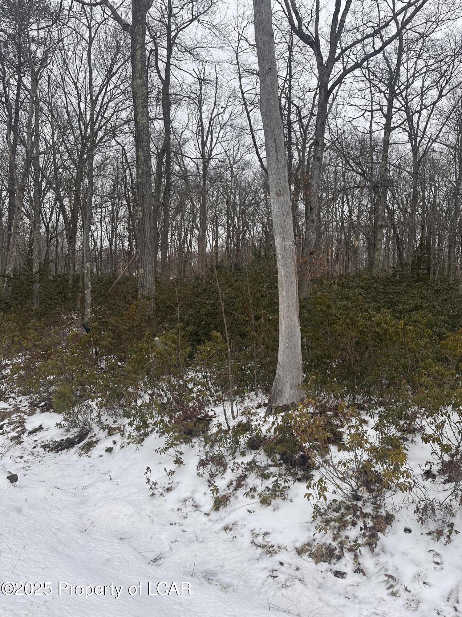 Bear Creek, Pennsylvania 18702, United States, ,Land,Active,6658