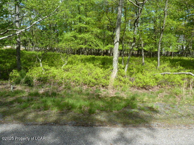 Indigo Circle, Hazleton, Pennsylvania image 5