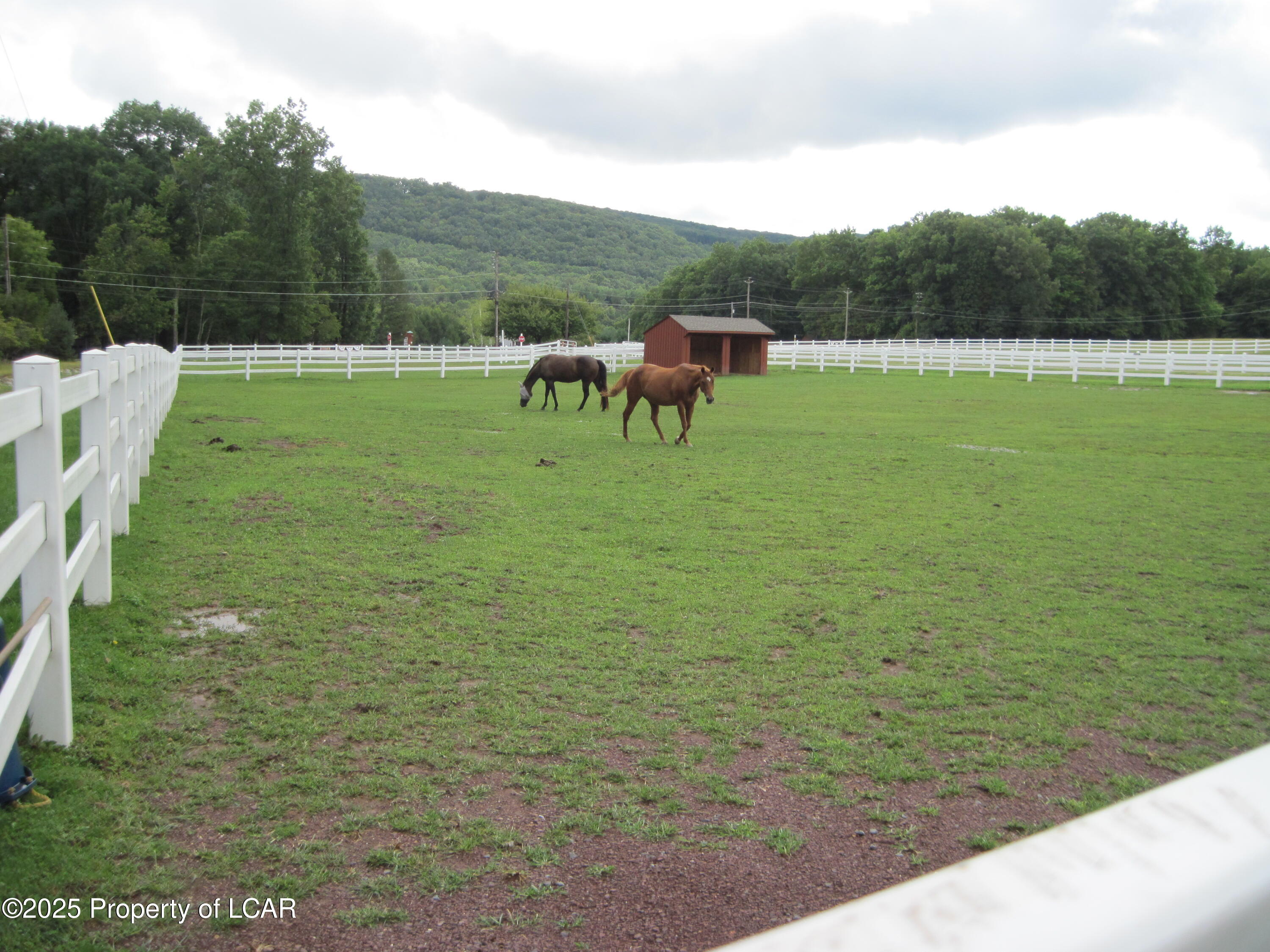 Indigo Circle, Hazleton, Pennsylvania image 19