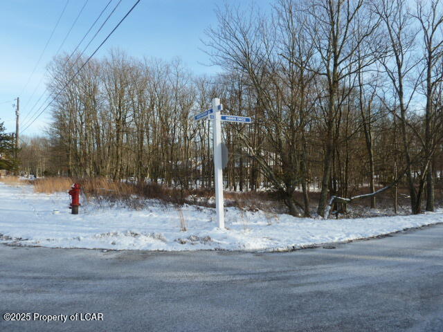 Indigo Circle, Hazleton, Pennsylvania image 1