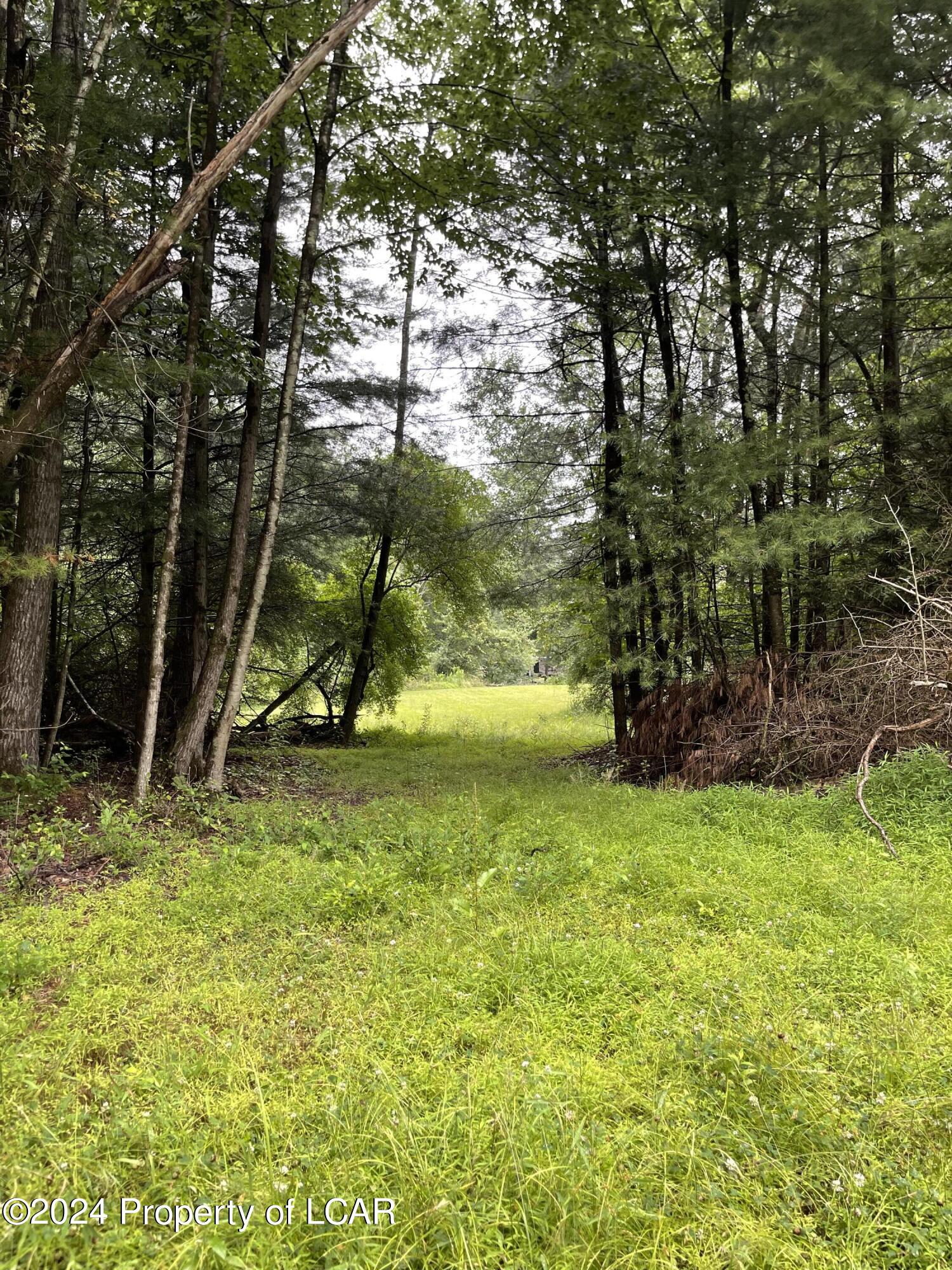 Gravel Road, Hunlock Creek, Pennsylvania image 6