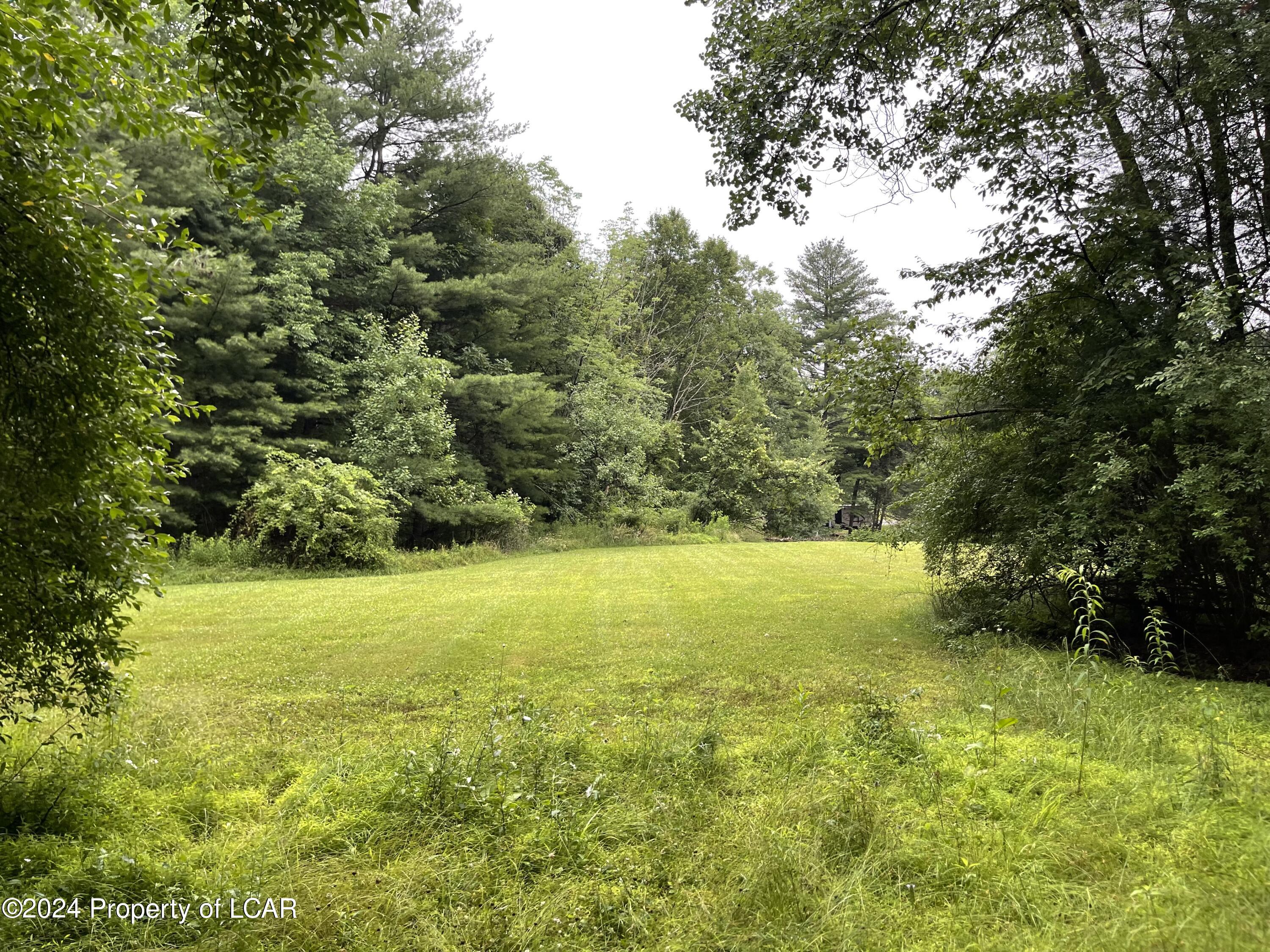 Gravel Road, Hunlock Creek, Pennsylvania image 2