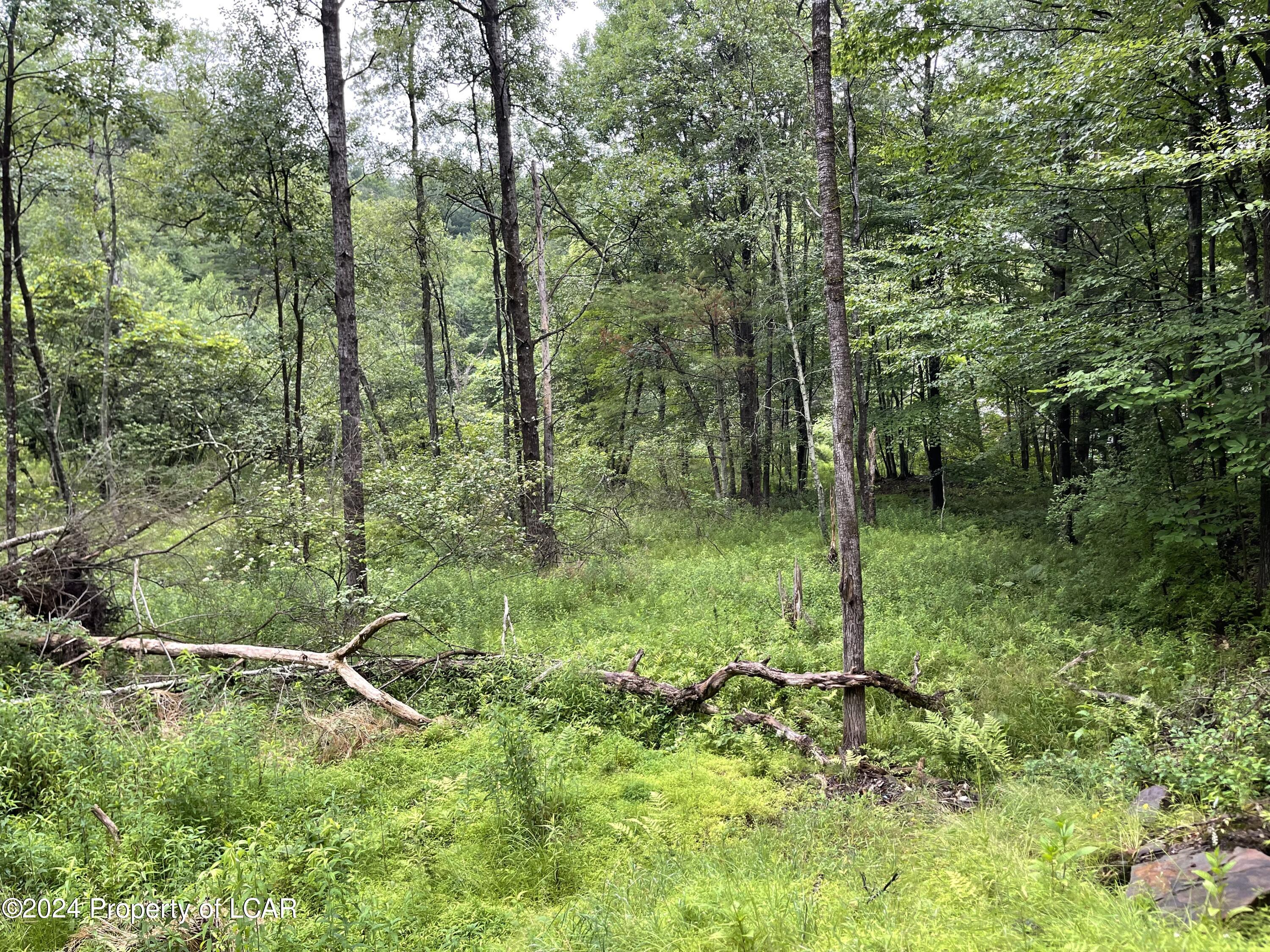 Gravel Road, Hunlock Creek, Pennsylvania image 5