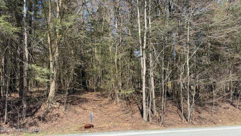 Vacant Land For Sale - Millcreek Road<br/> Newfoundland, PA 18445