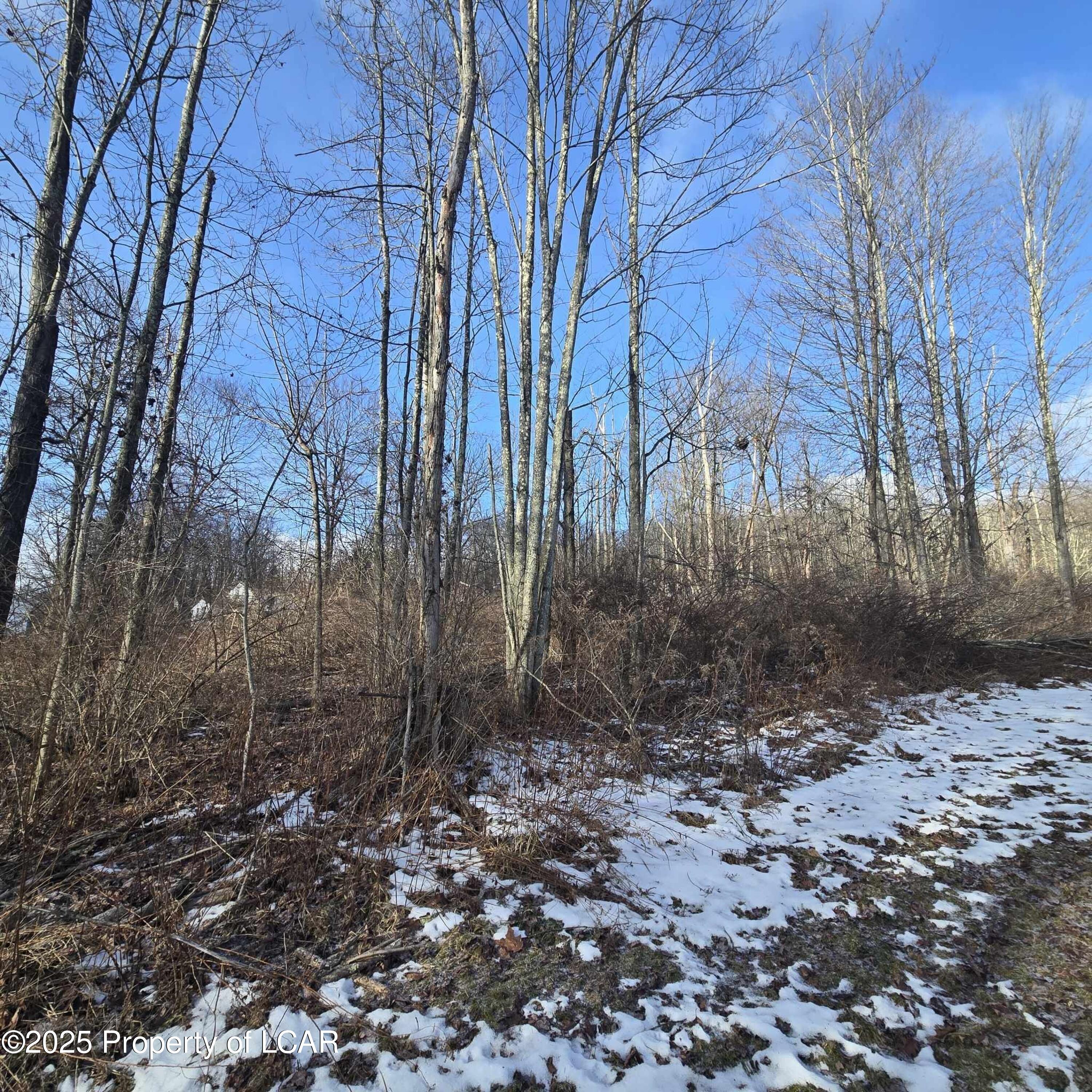 L1 S Nichols Road #15, Harveys Lake, Pennsylvania image 2