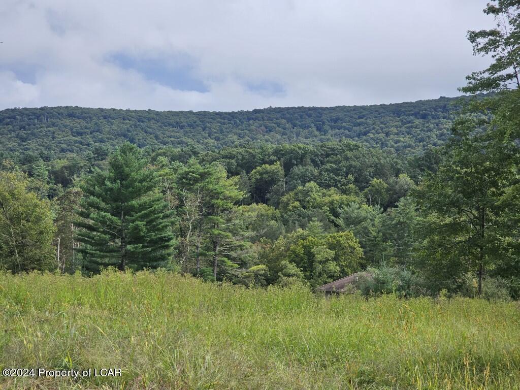 Cobblestone Lane, Shavertown, Pennsylvania image 2