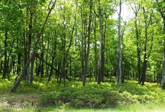 Turnberry Lane, Hazleton, Pennsylvania image 2